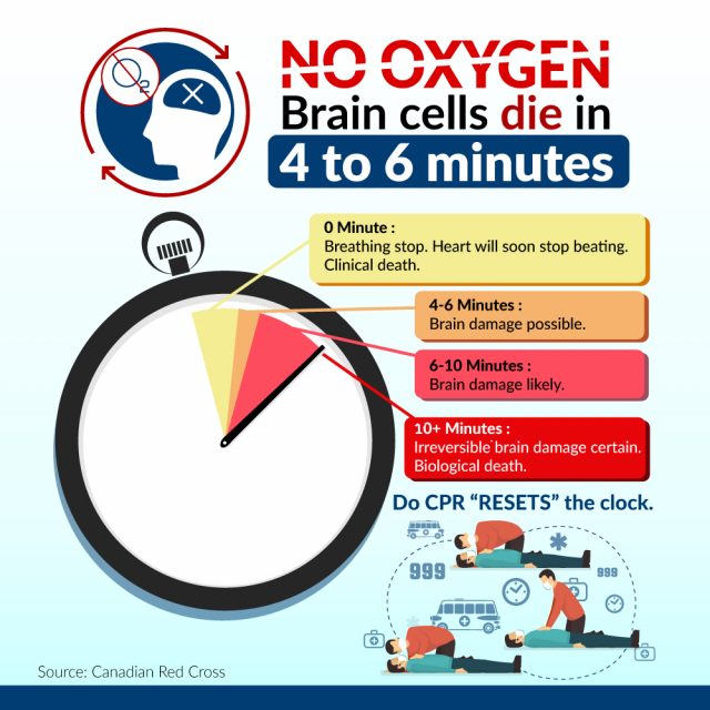 No Oxygen Brain Cells Die In 4 to 6 mins., perform CPR ‘resets’ the